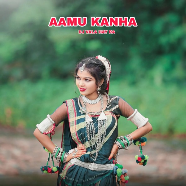 Aamu Kanha Dj Vala Hay Ra (feat. DJ JIGNESH)