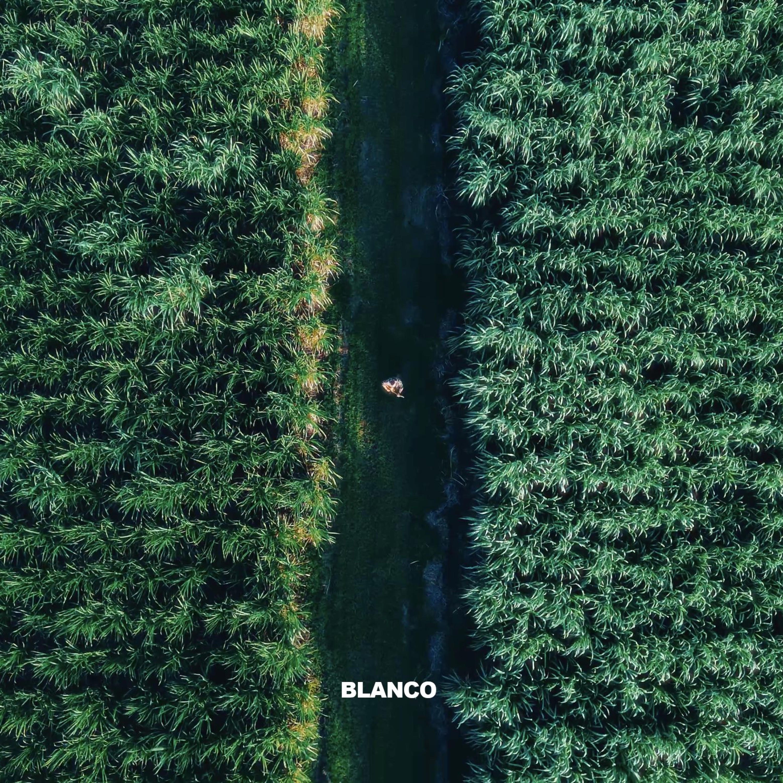 Blanco - Single