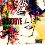 Goodbye (Trafik Remixes) - Single