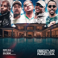 FESTA NO MEIO DO NADA (feat. MC Braz) - Single - MC Luan da BS, MC CJ, DJ 2w & Dj Tg Da Inestan