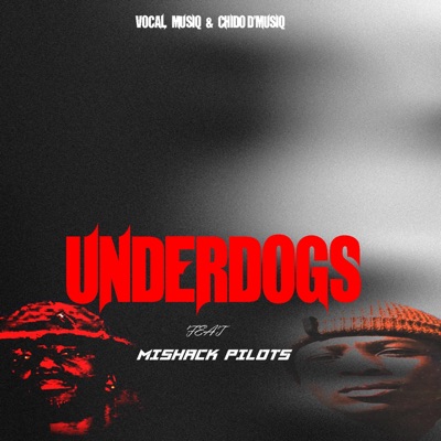 Underdogs (feat. CHIDO D'MUSIQ & Mishack Pilots) - Single