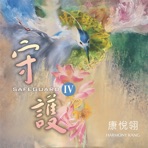 SAFEGUARD IV