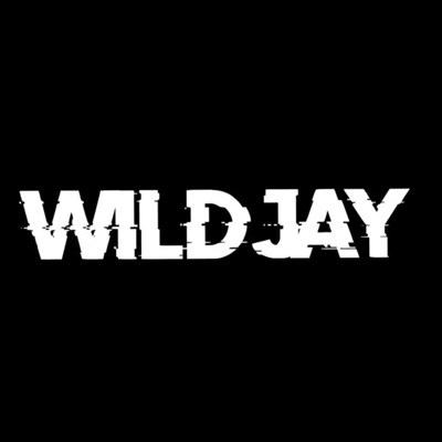 Song - Touch It (Remix) - Wildjay