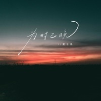 为时已晚 (越大越觉孤单) - Single - 夏子涓