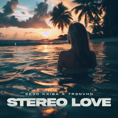 Stereo Love - Single