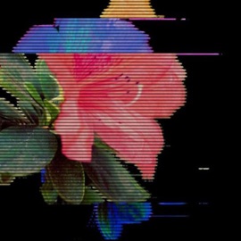 Long Road (feat. Nect@) Max-Bev