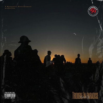 TROUBLE iN P4RADISE - Single