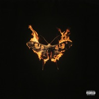 Nachtvlinder 2 - Bokoesam & $hirak