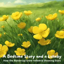 A Bedtime Story and a Lullaby: How the Buttercup Grew Yellow & Shooting Stars (Unabridged)