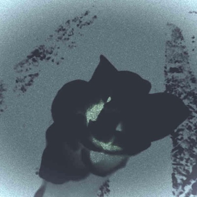 cant breathe - Single