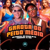 Garota Do Peito Médio - Single - MC Ruanzin, MC Neguin da 20 & MANSÃO SPACE FUNK