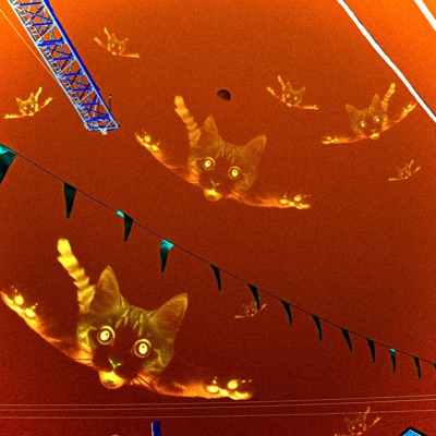 9 L I V E S - Single