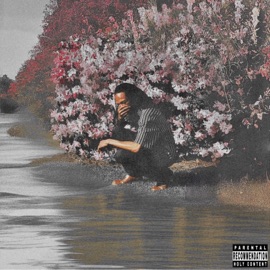 Porterway (Slow & Reverb) Dr3wski