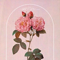 i NEED YOU more. - Single - Kushim