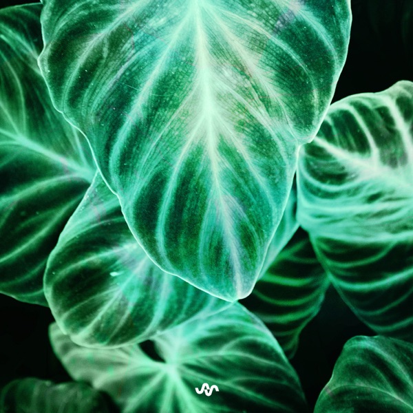 Lost In Green - EP