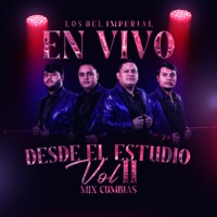 Desde El Estudio Vol II Mix Cumbias (En Vivo) - Los Del Imperial