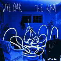 Take It In — Wye Oak