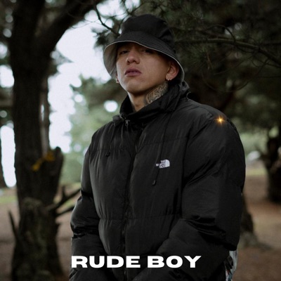 Rude Boy - Single