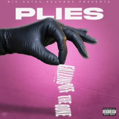 Hör dir „Falling Off The Bone - Single“ von Plies an