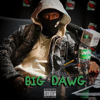 Big Dawg - Single