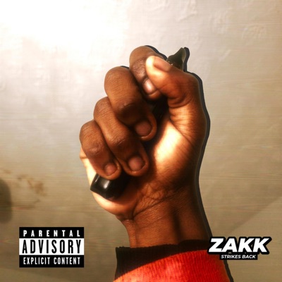 ZAKK STRIKES BACK