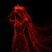 I REIGN MY INNER WORLD - I AM THE IMPERATRIX