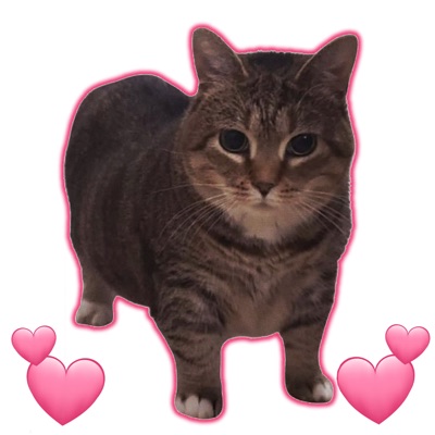 Hardstyle Killer - OIIA CAT & BIRDS OF A FEATHER (Slowed)