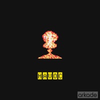 Havoc - Single - Lokii