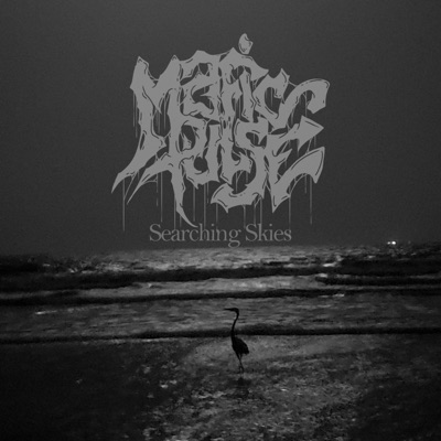 Searching Skies - Single