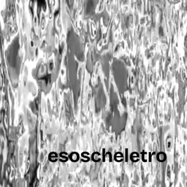 anche fosse Mjbf & Mael+