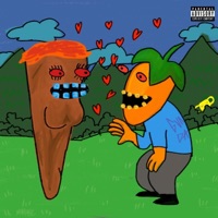 5 Anos de FL - THEBURPP