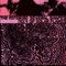 Lille - The Asteroid No.4 lyrics