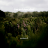 Enchanted - The Ambientalist
