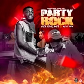 Party Rock artwork