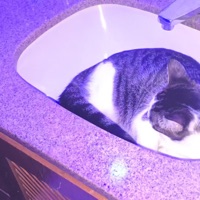 vai dar problema - Single - Rafa Craft