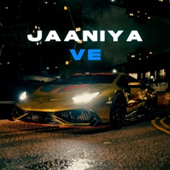 JAANIYA VE cover art