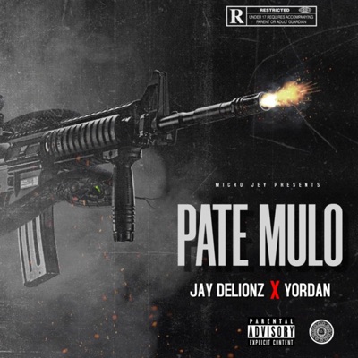 Pate Mulo - Single