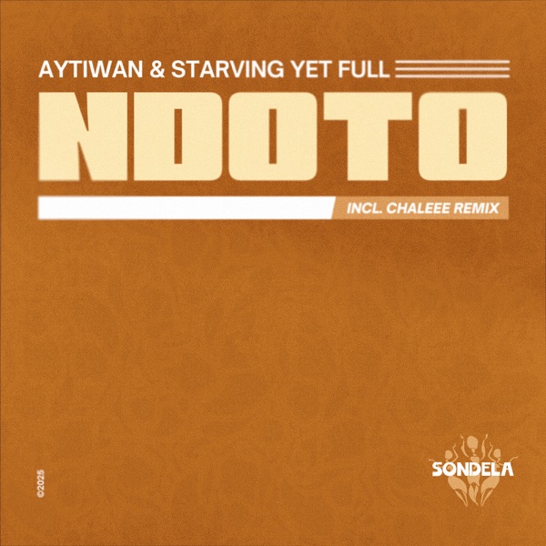 Ndoto - Single