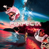Perfecta (feat. ICE COLD) - Single - The Melodico