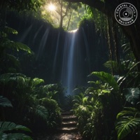 Follow the Rays and You'll Find the Sun - Single - !Noj