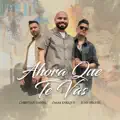 AHORA QUE TE VAS