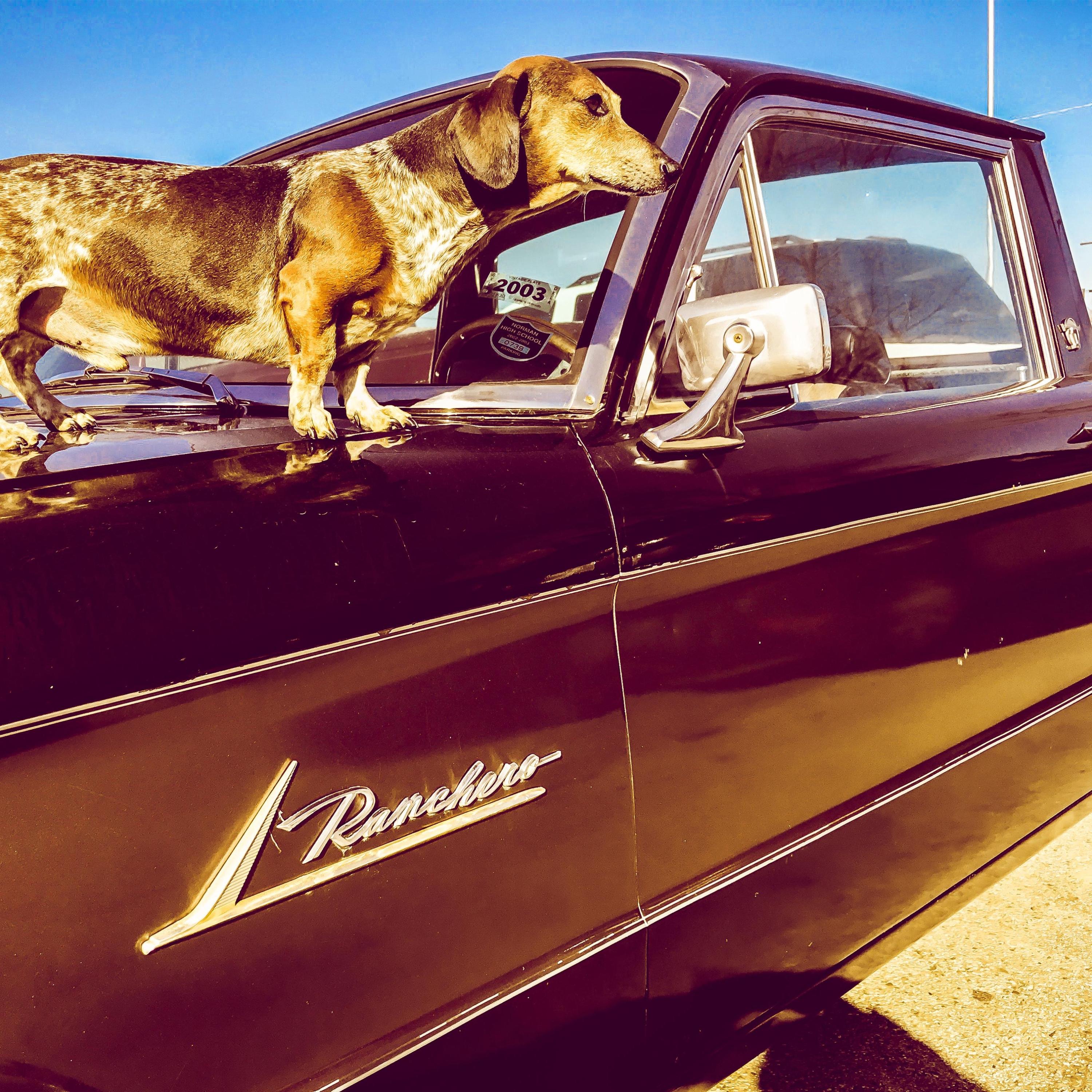 Ray Wylie Hubbard - Single