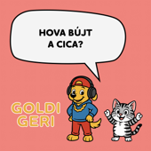 Hova bújt a cica?
