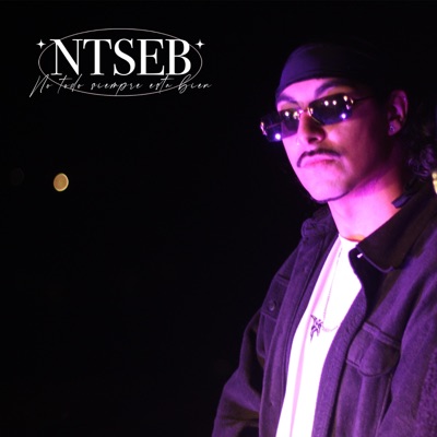 NTSEB: No todo siempre está bien (feat. Joe Kidd & Wlah) - Single