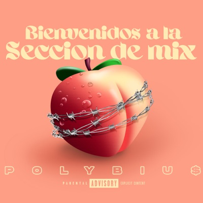Bienvenidos a la Sección de Mix