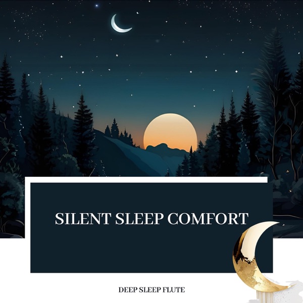 Silent Sleep Comfort