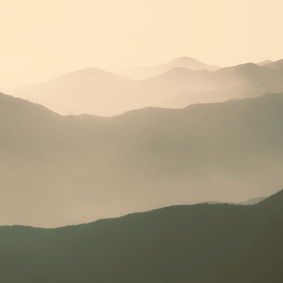 ‎No Turning Back Album by CRFT Apple Music