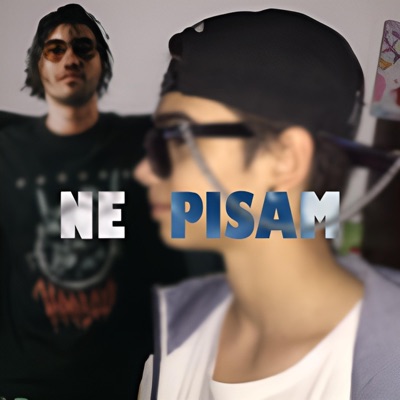 Ne pisam (feat. Ayan & Aeroshol) - Single
