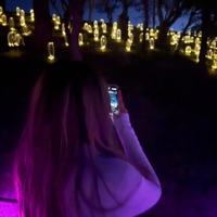 Dangerously In Love - Single - PayMig