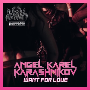 Want For Love